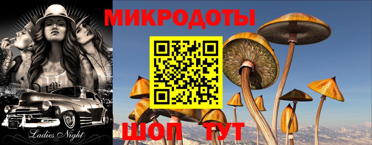 Псилоцибиновые грибы Magic Shrooms  Вход с VPN  Галлюциногенные грибы Psilocybe  Саратов 